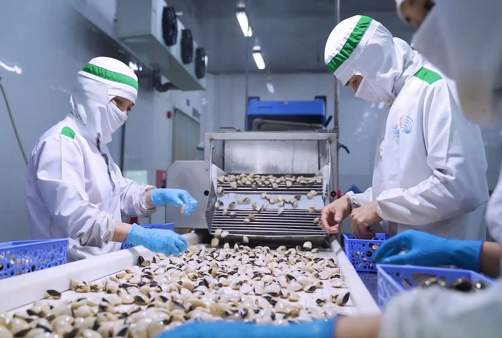 Chiết khấu cao khiến doanh nghiệp thủy sản chùn bước ở thị trường nội địa