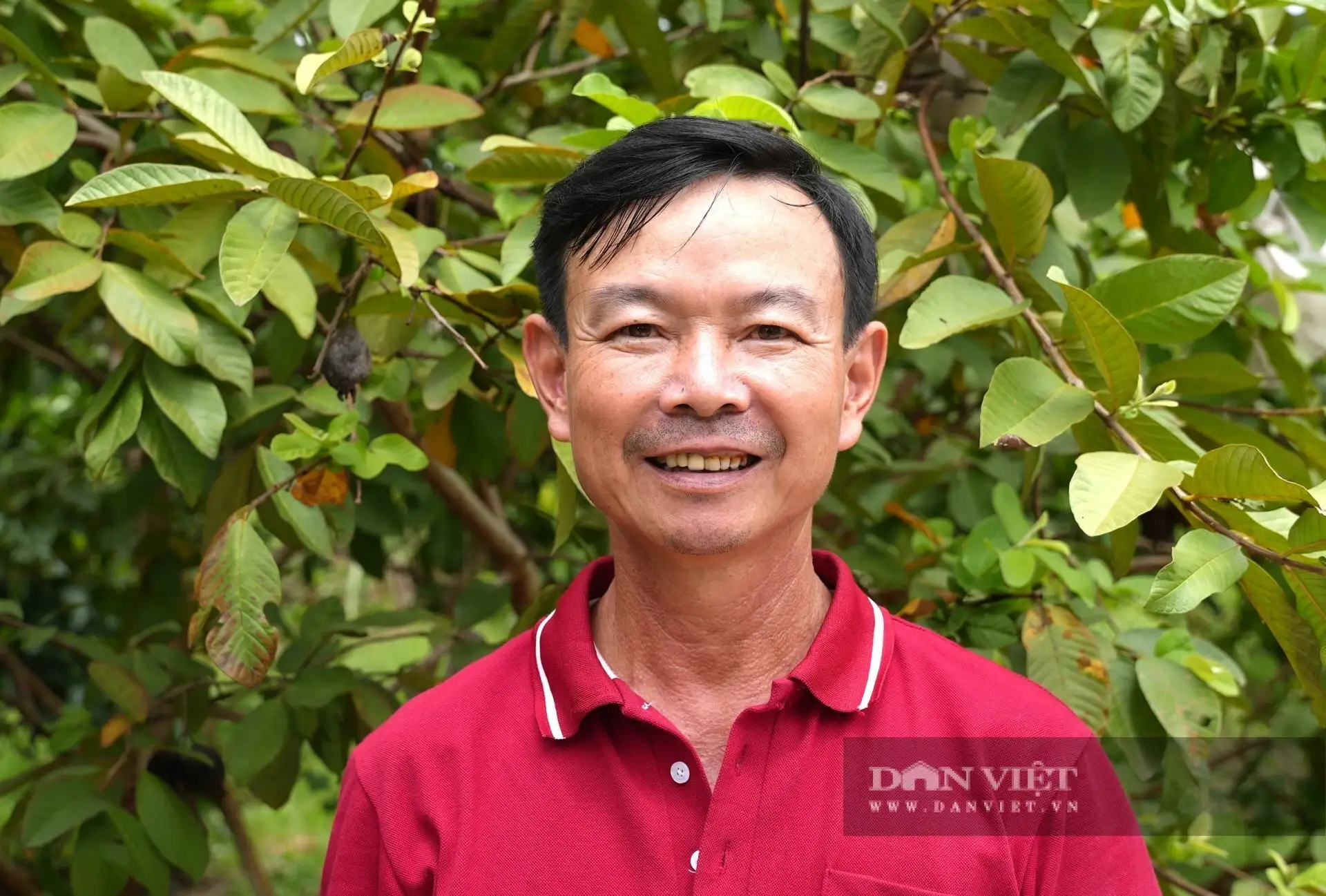 “Chơi sang ở Nghệ An”, nuôi gà đẻ phòng điều hòa, thu hơn 10 tỷ/năm, là Nông dân Việt Nam xuất sắc