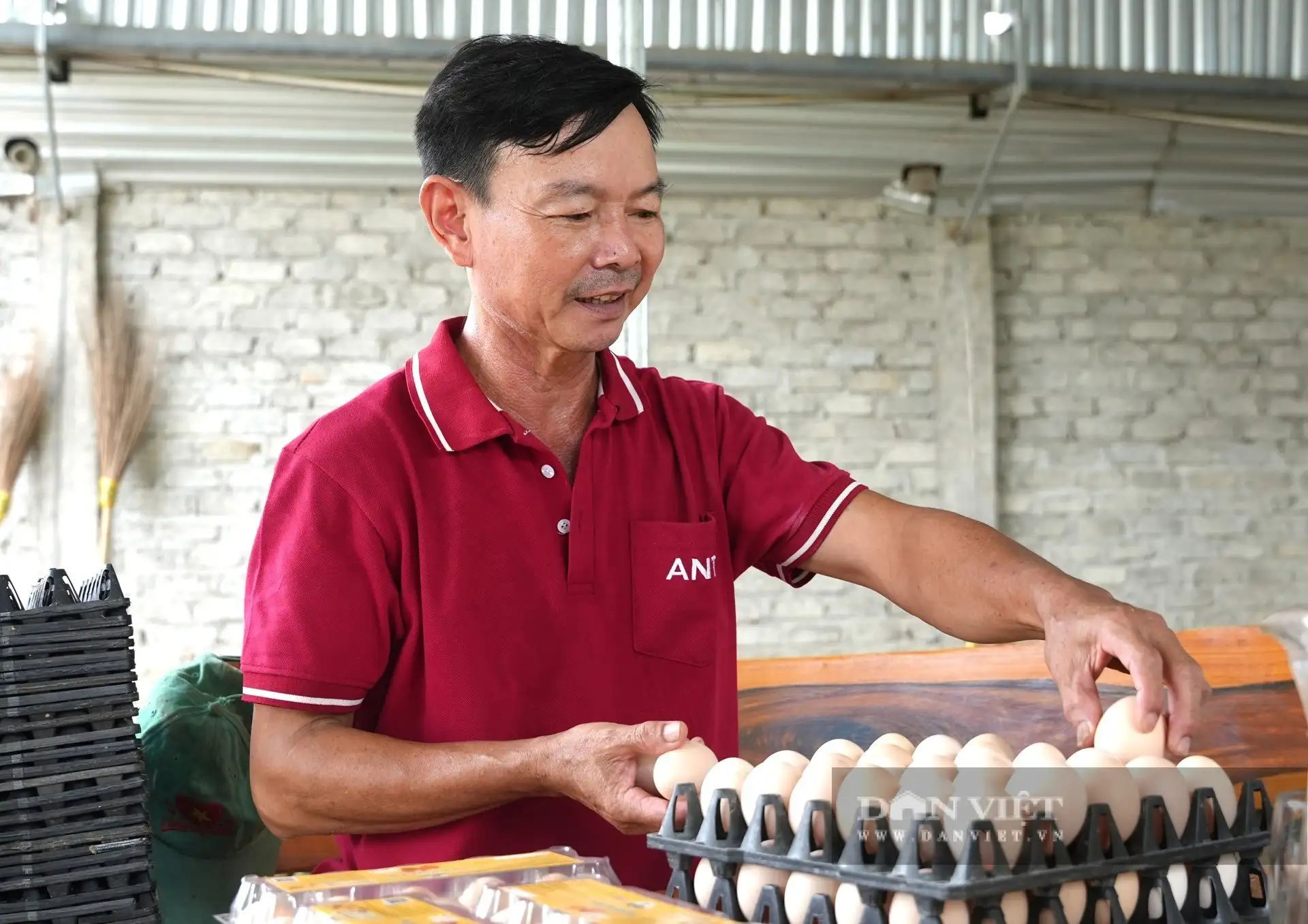“Chơi sang ở Nghệ An”, nuôi gà đẻ phòng điều hòa, thu hơn 10 tỷ/năm, là Nông dân Việt Nam xuất sắc