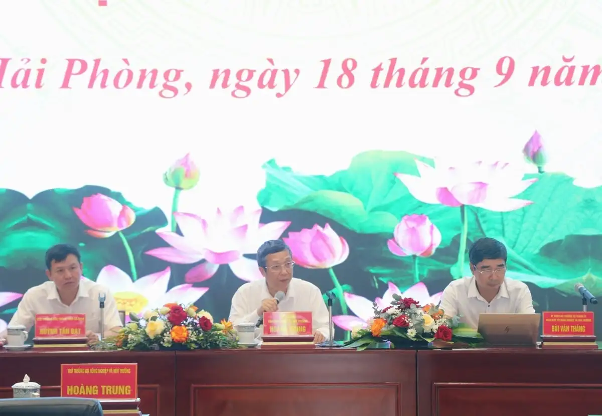 Chủ động kế hoạch sản xuất vụ đông và đông xuân 2025-2026