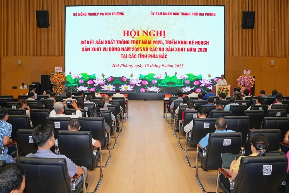 Chủ động kế hoạch sản xuất vụ đông và đông xuân 2025-2026