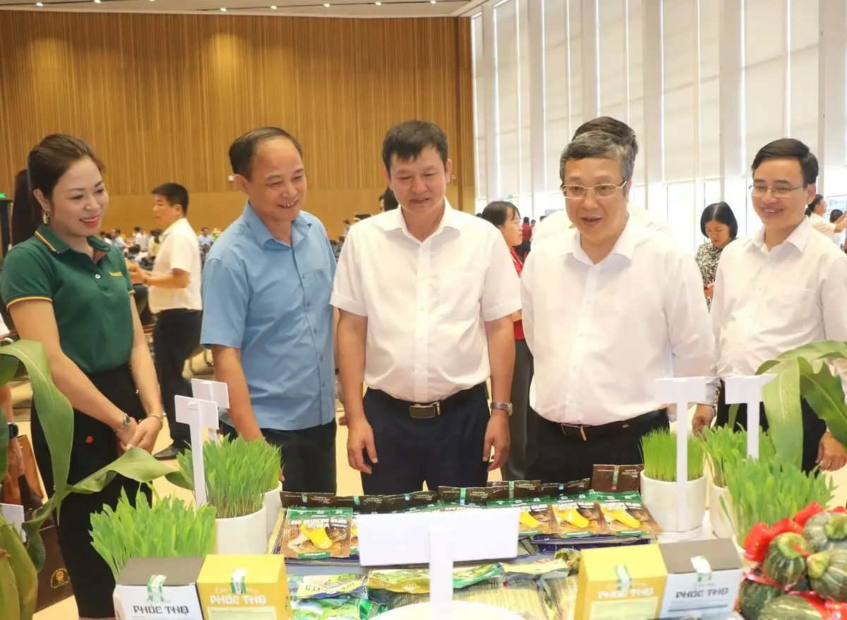 Chủ động kế hoạch sản xuất vụ đông và đông xuân 2025-2026
