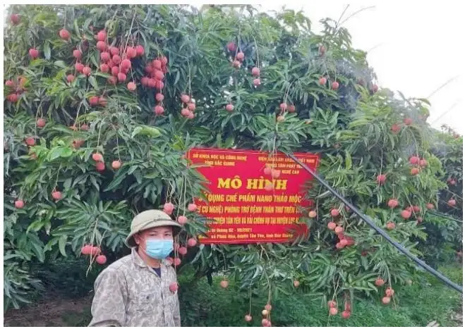 Công nghệ nano mở lối cho nông nghiệp xanh