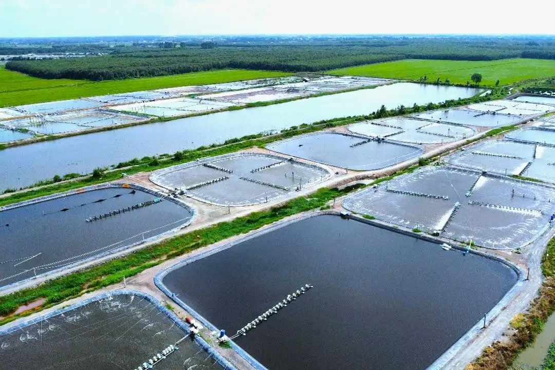 Công nghệ số nuôi trồng thủy sản: Cơ hội lớn, áp lực không nhỏ