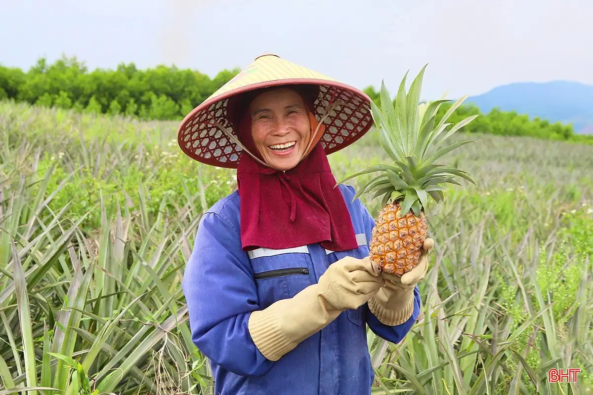 Dấu ấn nhiệm kỳ: Bước chuyển mạnh mẽ trong xây dựng NTM ở Hà Tĩnh