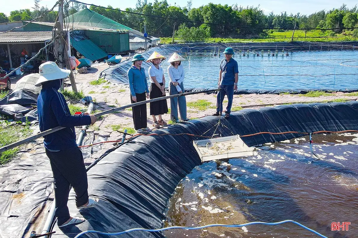 Dấu ấn nhiệm kỳ: Bước chuyển mạnh mẽ trong xây dựng NTM ở Hà Tĩnh