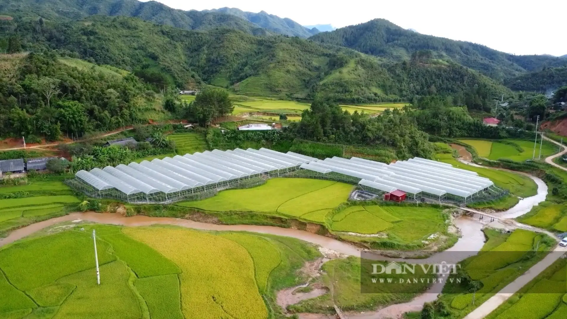 Đây là cách trồng hoa, trồng rau, trồng quả kiểu mới, giúp nông dân Lào Cai cầm nhiều tiền hơn