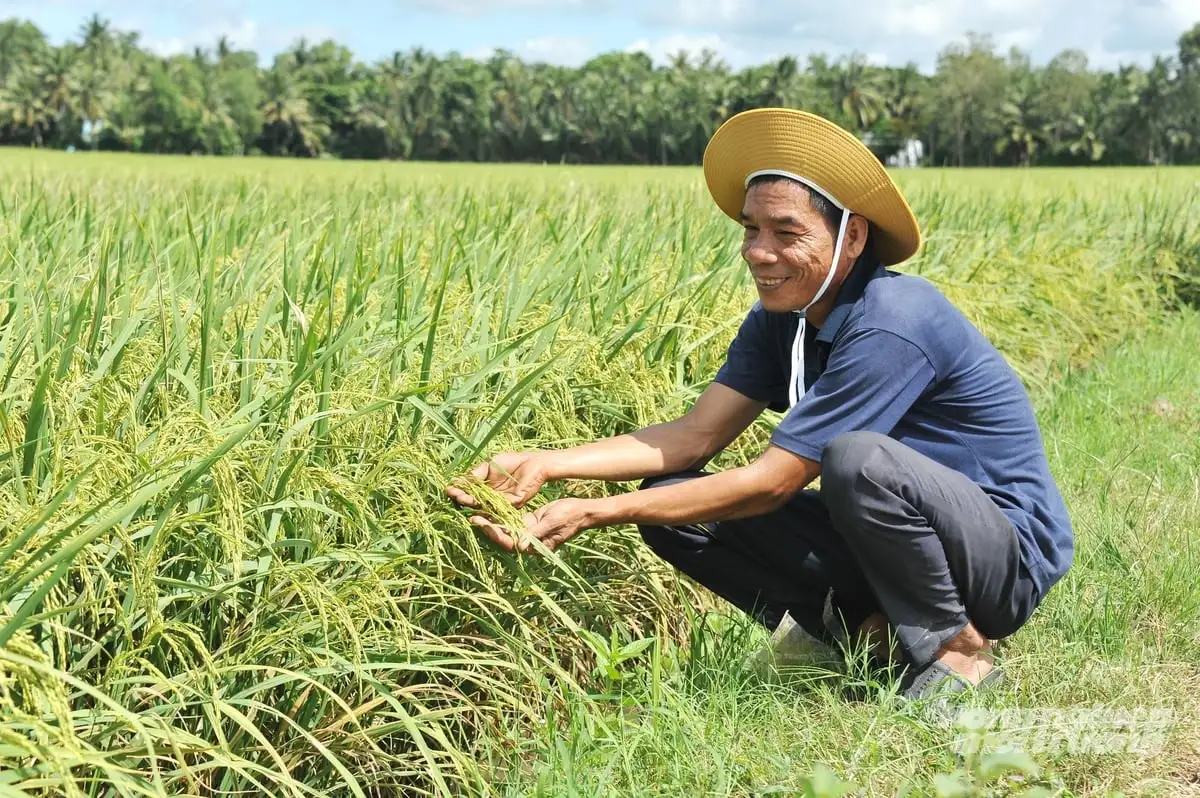 ĐBSCL chủ động ứng phó lũ lớn, bảo vệ an toàn lúa thu đông