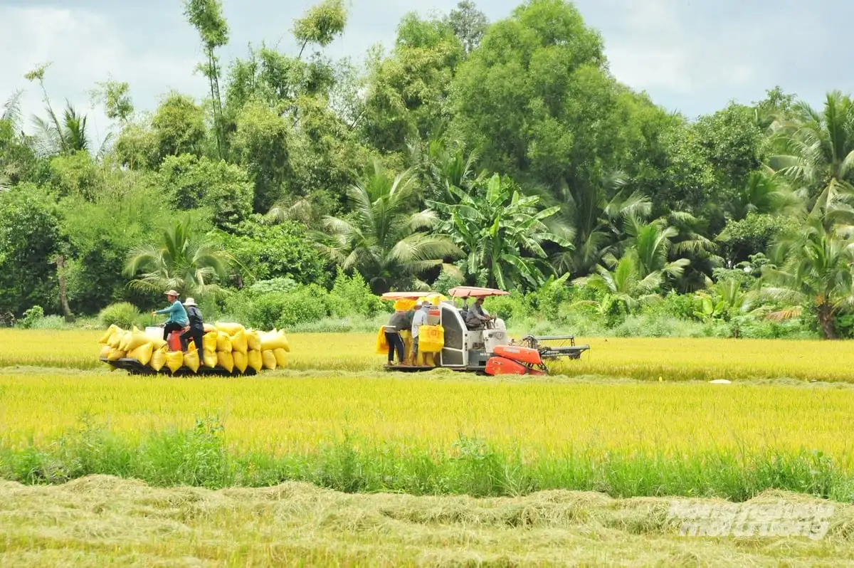 ĐBSCL chủ động ứng phó lũ lớn, bảo vệ an toàn lúa thu đông