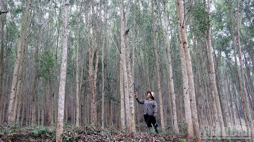 Đề xuất các chỉ số thiếu hụt dịch vụ xã hội cơ bản trong chuẩn nghèo đa chiều mới