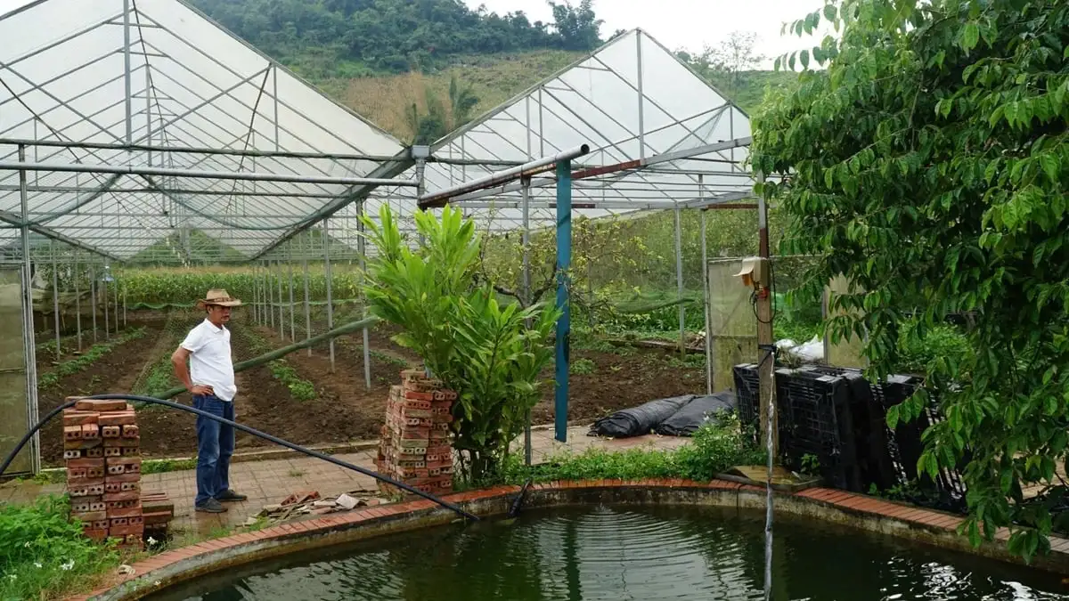 Điểm hẹn du lịch nông nghiệp hút khách tại Mộc Châu