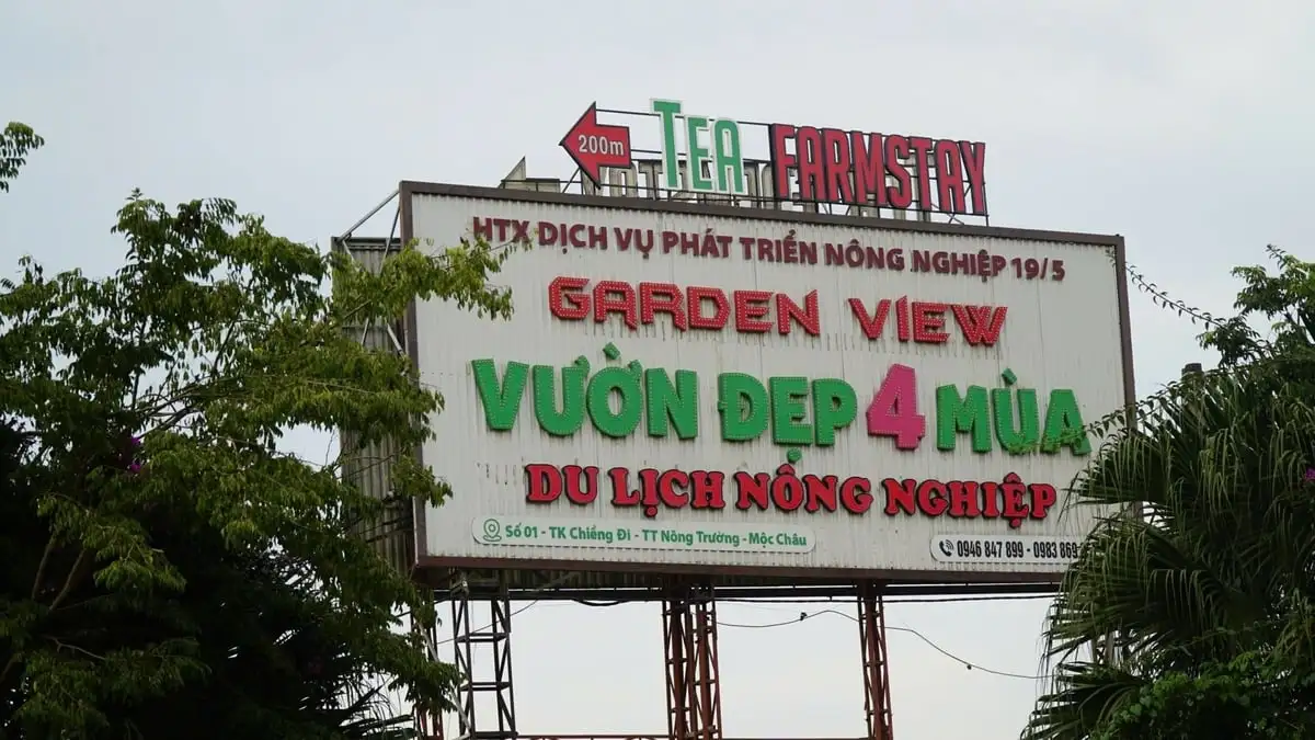 Điểm hẹn du lịch nông nghiệp hút khách tại Mộc Châu