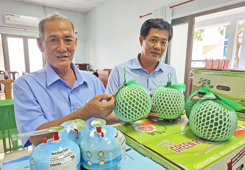 “Độc chiêu” bắt sầu riêng ra trái nghịch mùa, lão nông Cần Thơ có 40 công Monthong bán giá cao gấp 2-3 lần