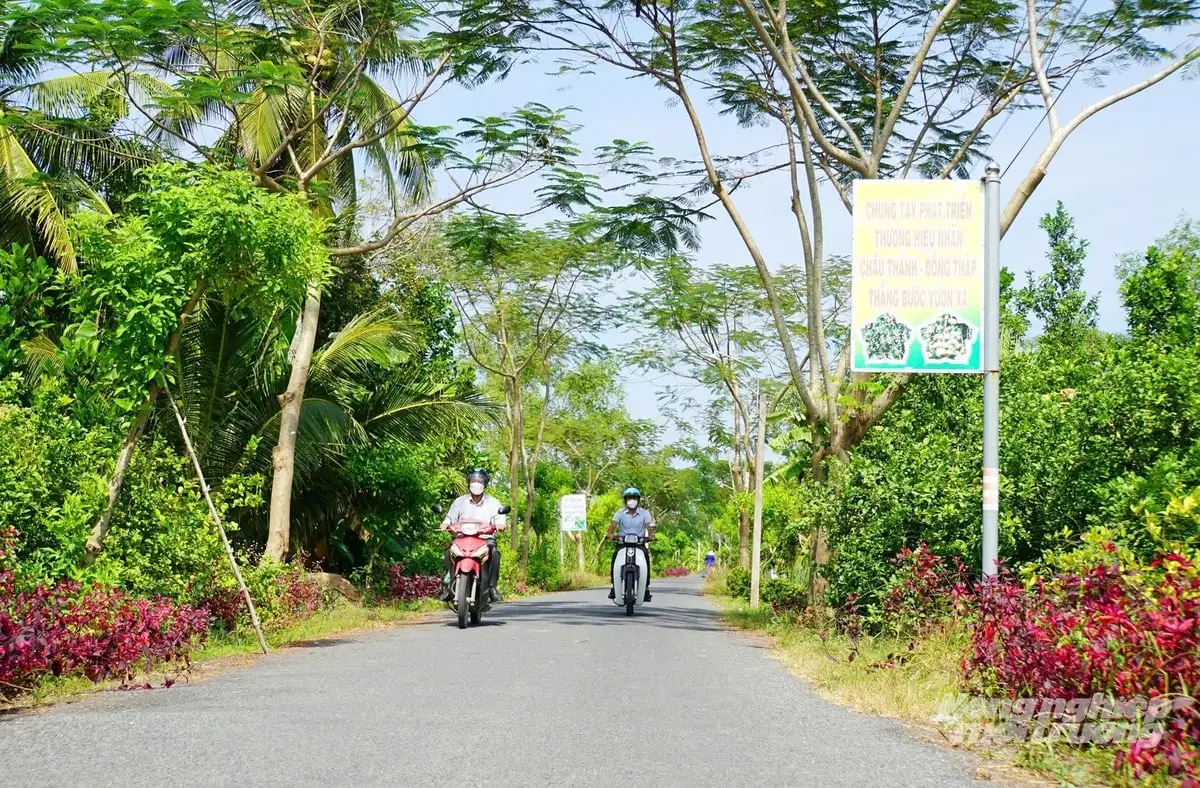 Đồng Tháp vươn mình nhờ nông thôn mới gắn tái cơ cấu nông nghiệp