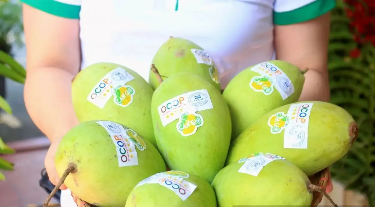 Đưa sản phẩm OCOP vươn xa bằng số hóa