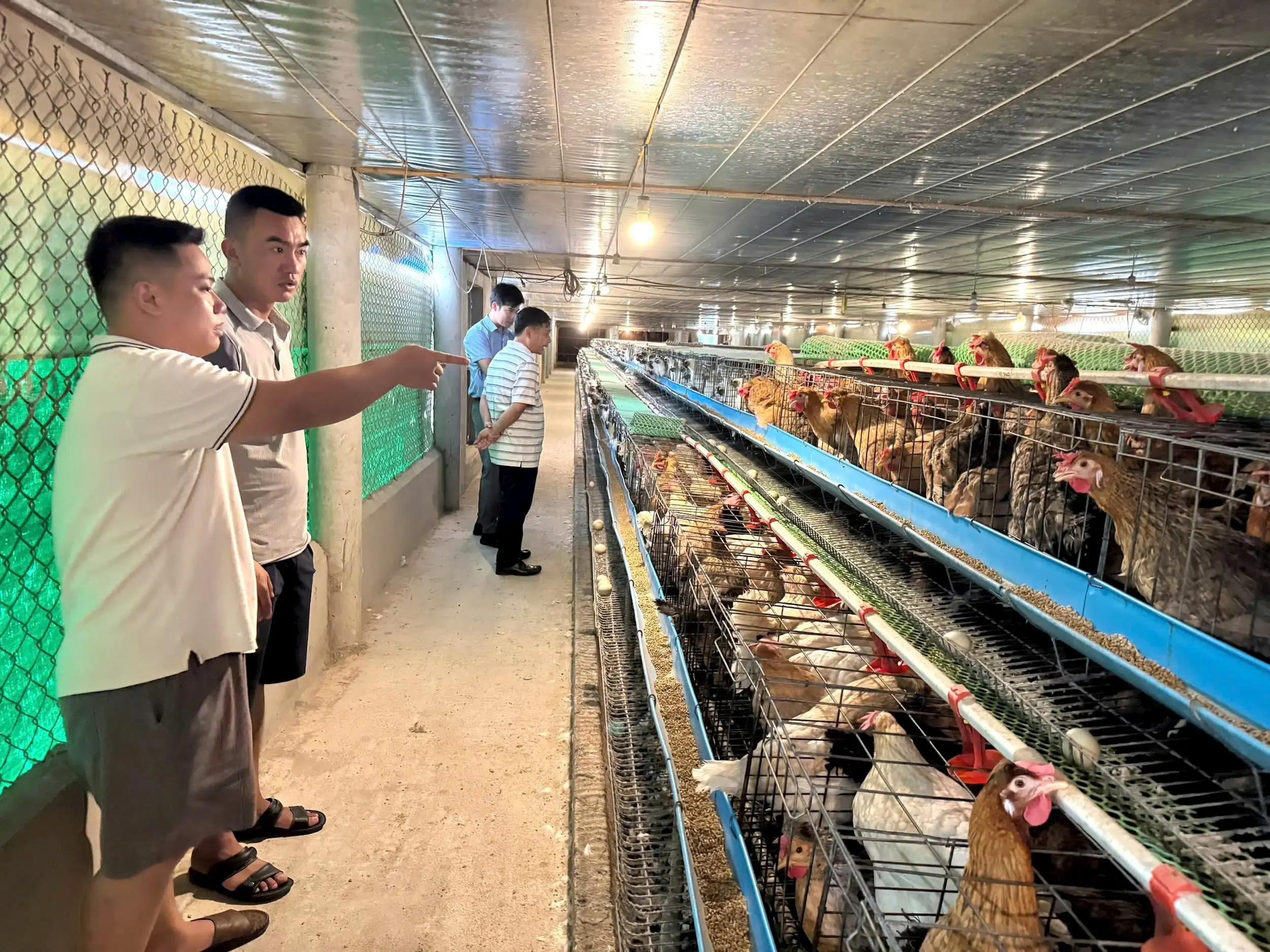 Giai đoạn 2026-2030 dự kiến có 10 tiêu chí quốc gia xây dựng nông thôn mới