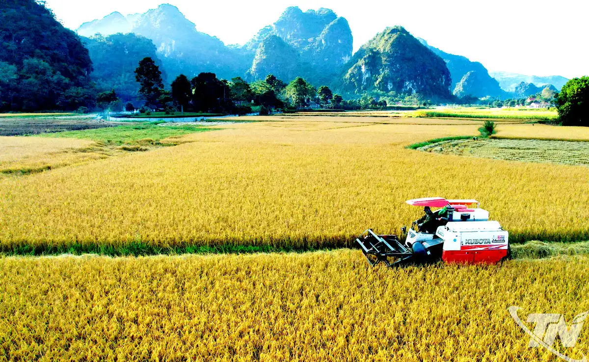 Giải pháp nào giảm nghèo bền vững?