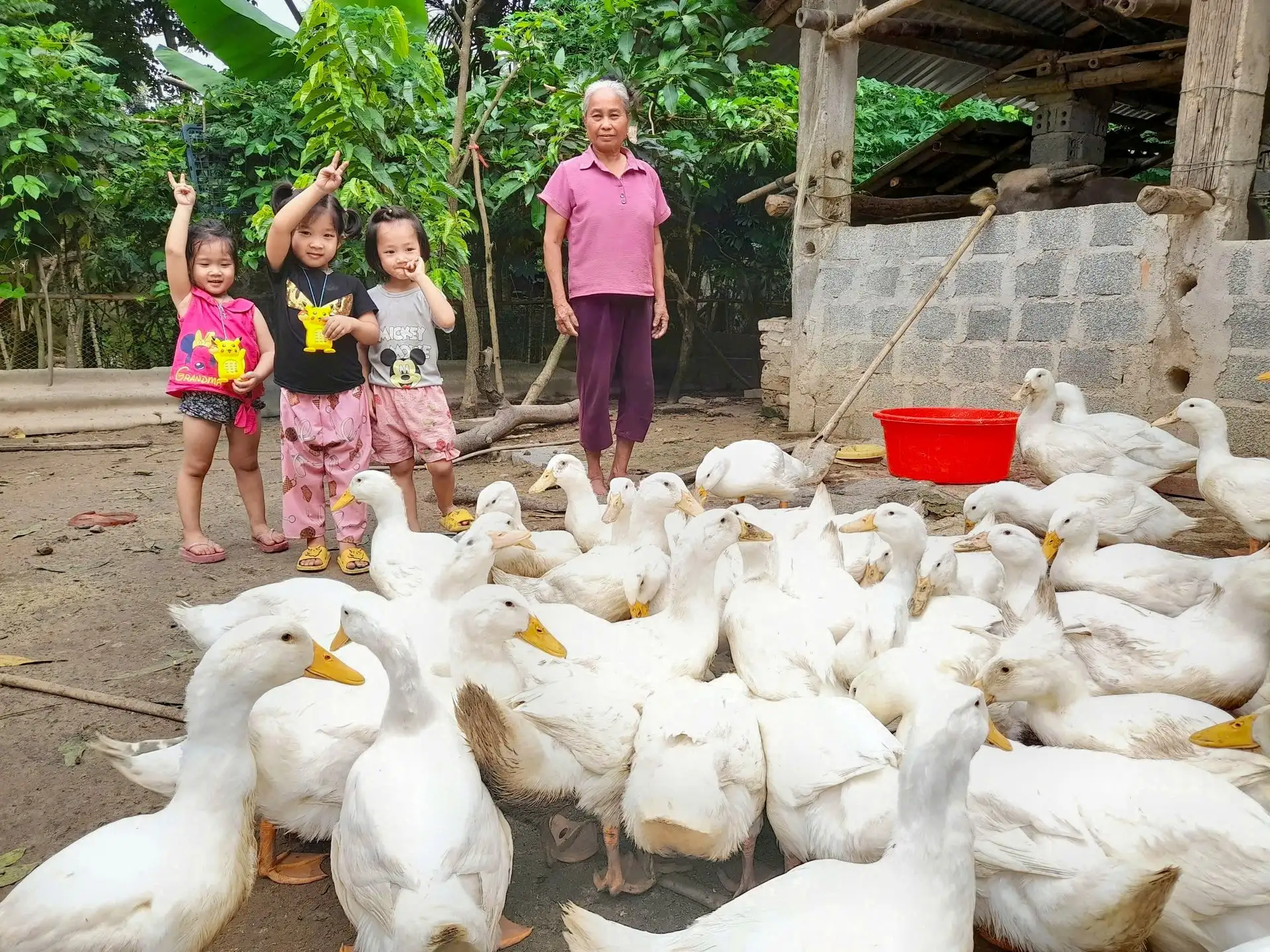 Gieo sinh kế bền vững, điểm tựa để phụ nữ nghèo vươn lên