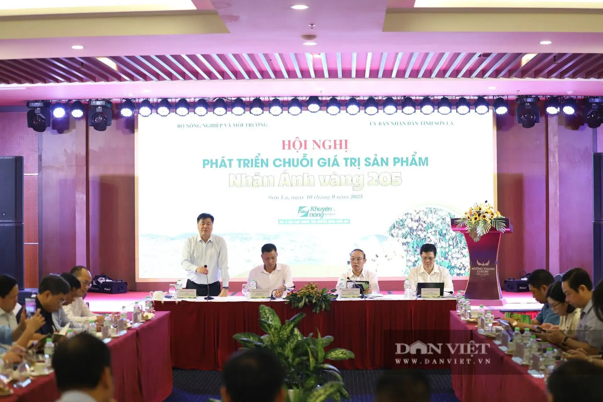 Giống cây đặc sản mới ở Sơn La, nông dân có thể thu 500-700 triệu/ha, tiềm năng xuất khẩu, giảm nghèo bền vững