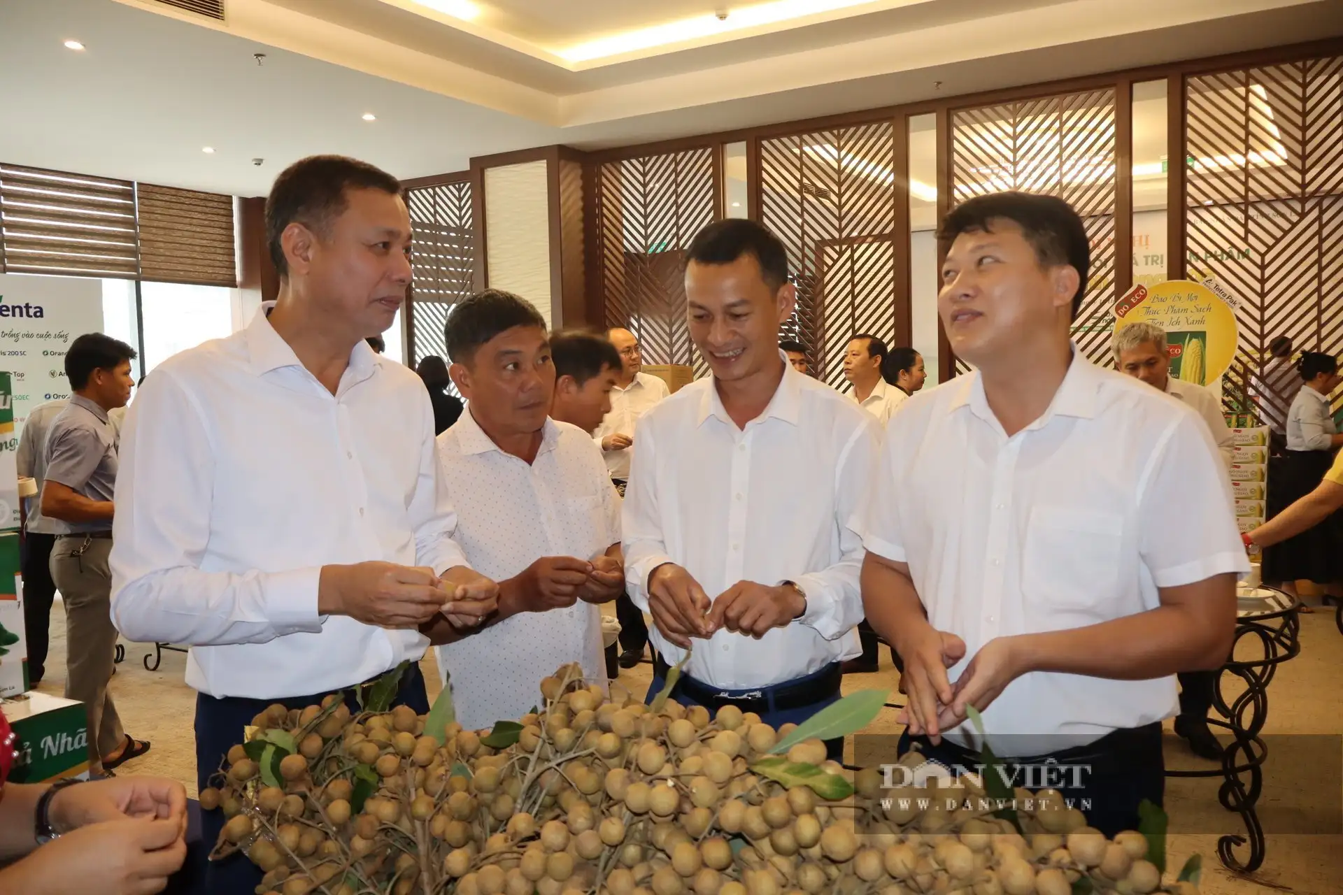 Giống cây đặc sản mới ở Sơn La, nông dân có thể thu 500-700 triệu/ha, tiềm năng xuất khẩu, giảm nghèo bền vững