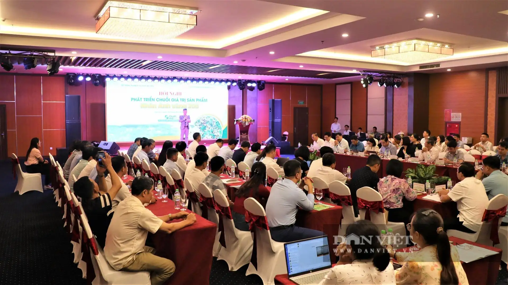 Giống cây đặc sản mới ở Sơn La, nông dân có thể thu 500-700 triệu/ha, tiềm năng xuất khẩu, giảm nghèo bền vững
