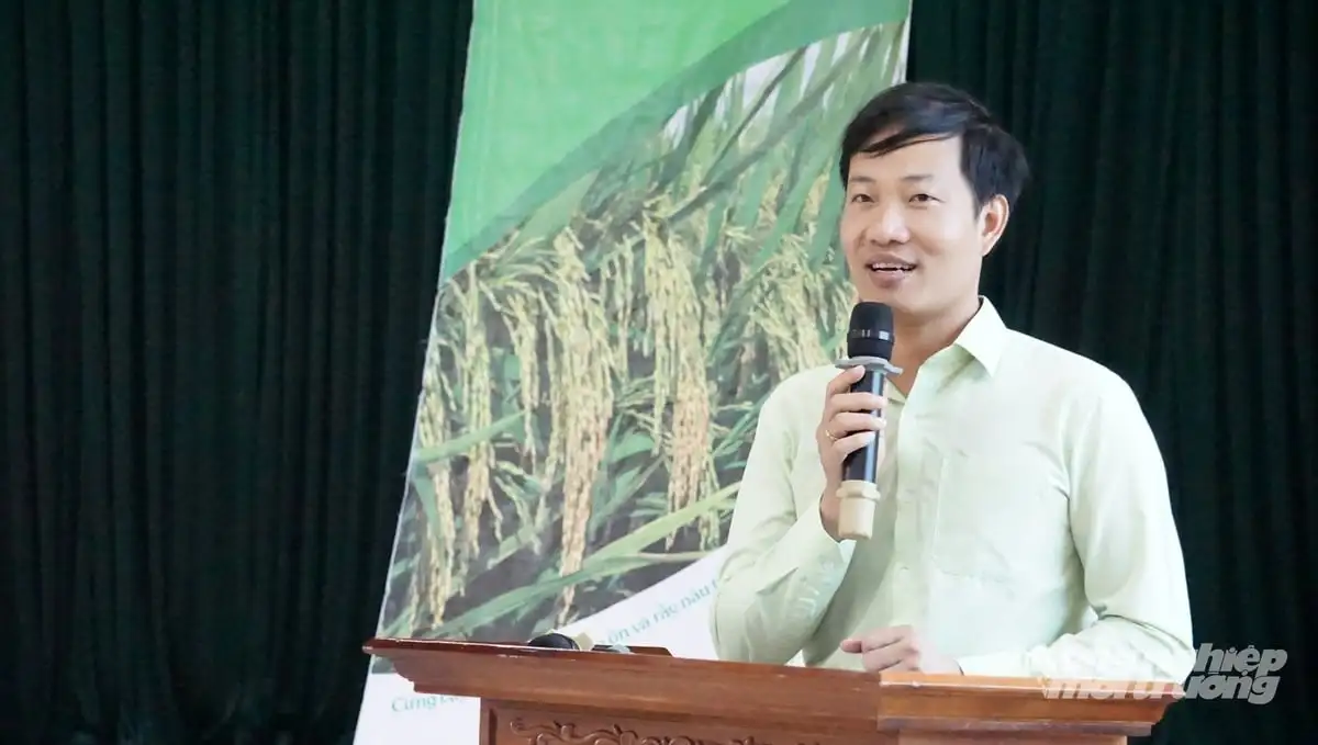 Giống lúa TBR97 ‘không có đối thủ’ trên đồng ruộng xứ Thanh
