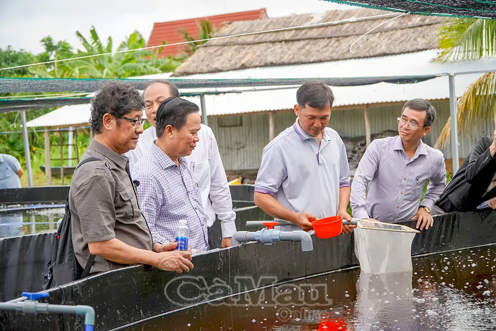 Gỡ khó cho HTX, thúc đẩy phát triển kinh tế nông nghiệp 12 tháng 09 2025 13:23