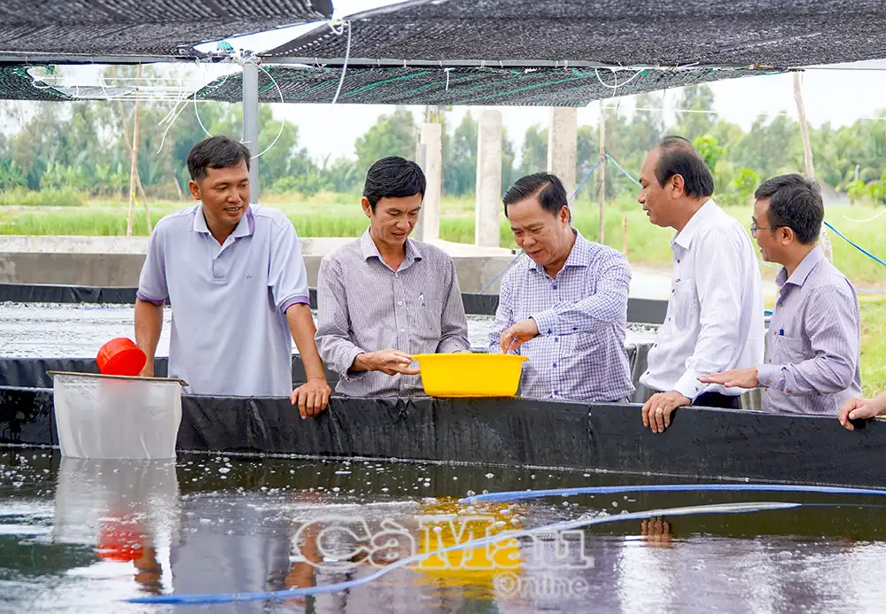 Gỡ khó cho HTX, thúc đẩy phát triển kinh tế nông nghiệp 12 tháng 09 2025 13:23