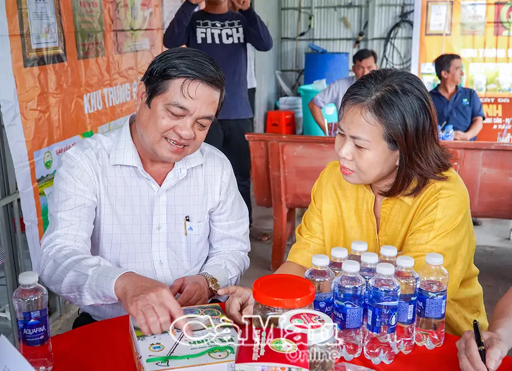 Gỡ khó cho HTX, thúc đẩy phát triển kinh tế nông nghiệp 12 tháng 09 2025 13:23