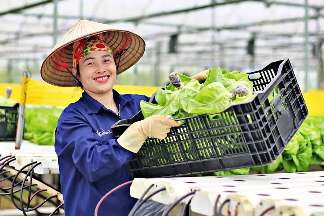 Hỗ trợ 50% chi phí công nghệ cho doanh nghiệp, HTX làm kinh tế tuần hoàn