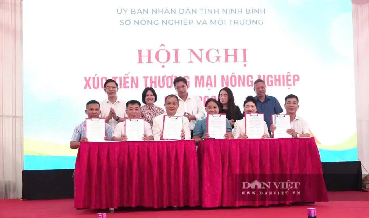 Hơn 400 sản phẩm nông nghiệp, sản phẩm OCOP tiêu biểu của Ninh Bình hội tụ