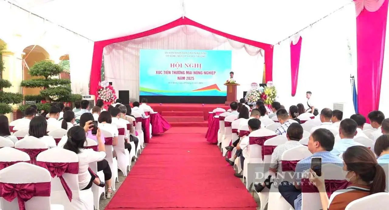 Hơn 400 sản phẩm nông nghiệp, sản phẩm OCOP tiêu biểu của Ninh Bình hội tụ