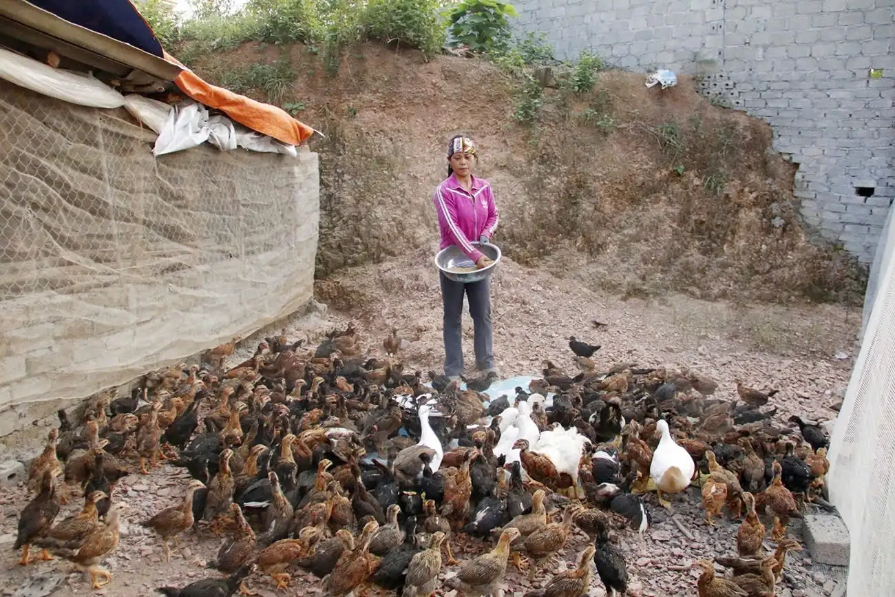 Hướng dẫn phân bổ dự toán Chương trình giảm nghèo năm 2025