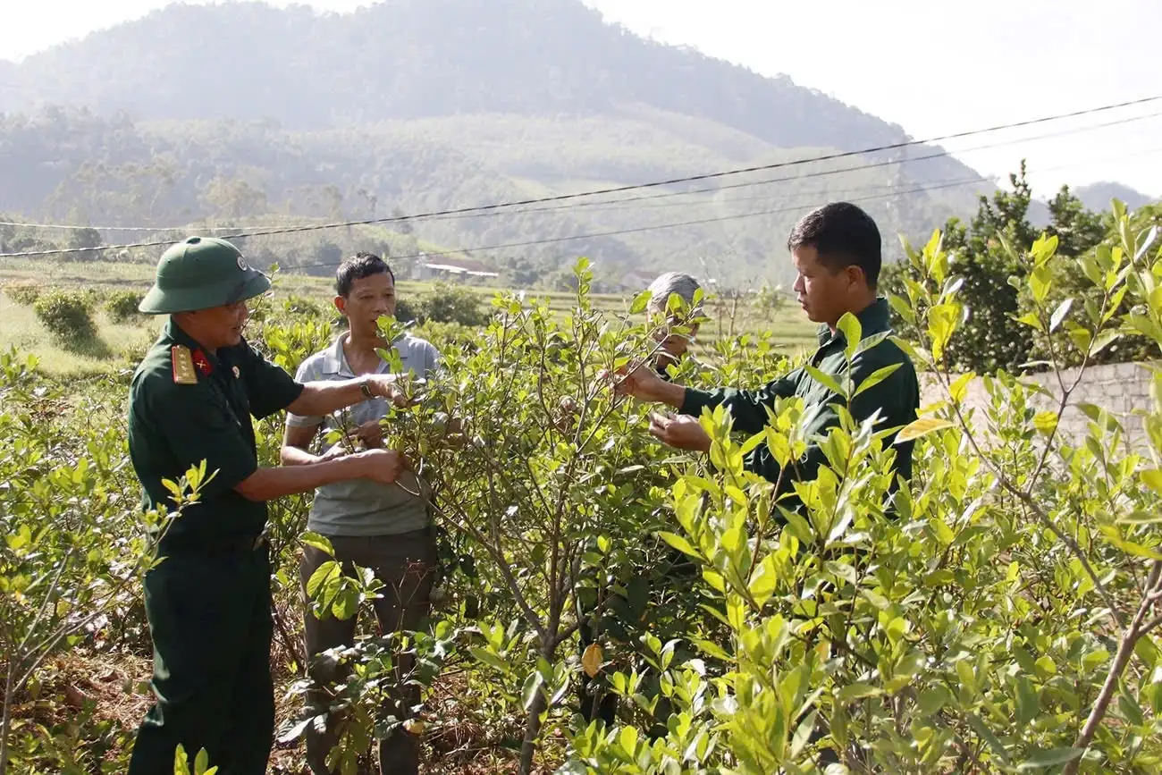 Hướng dẫn phân bổ dự toán Chương trình giảm nghèo năm 2025