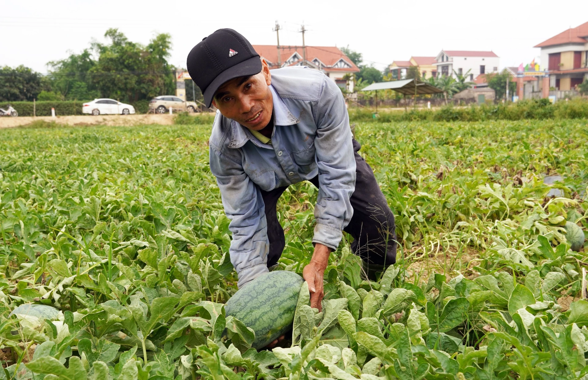 Hướng đến nền nông nghiệp bền vững