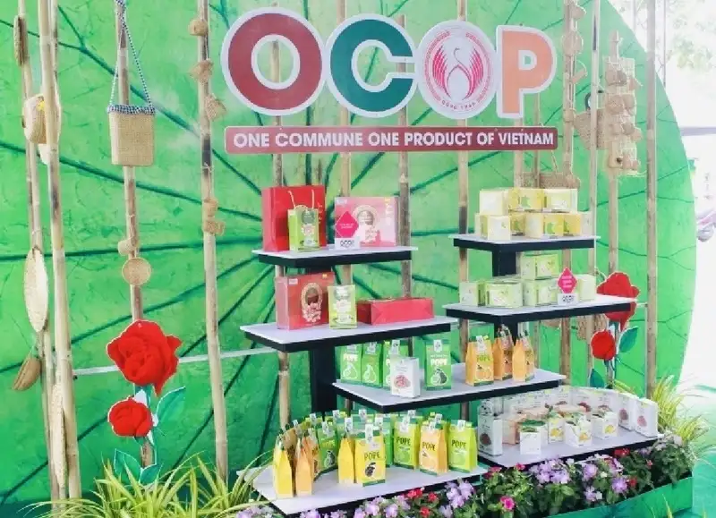 Kết nối cung cầu, quảng bá sản phẩm OCOP, đặc trưng tỉnh Đồng Tháp