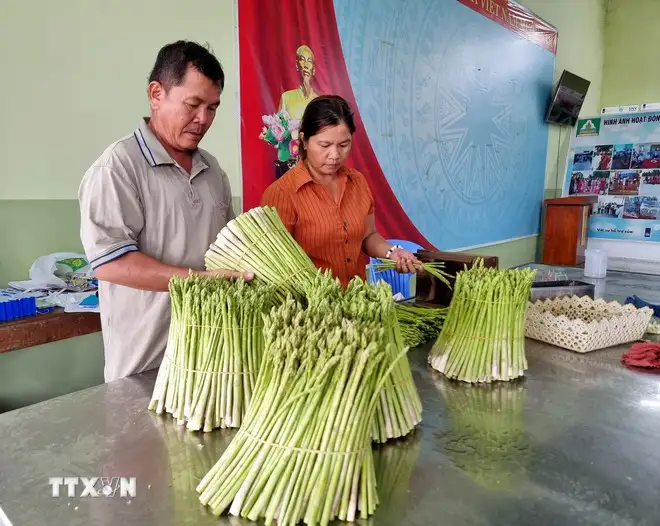 Khánh Hòa: Xây dựng thương hiệu OCOP, mở rộng thị trường cho sản phẩm miền núi