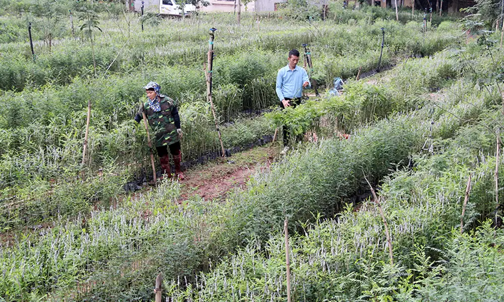 Khởi nghiệp từ nền tảng số