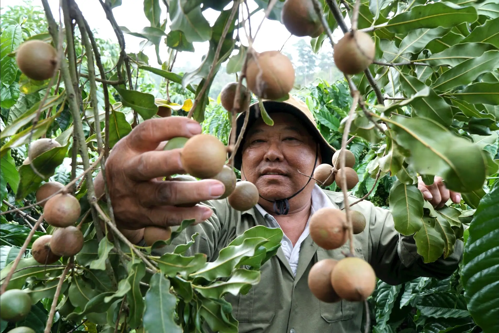 Khởi sắc nông thôn mới ở Lâm Ðồng