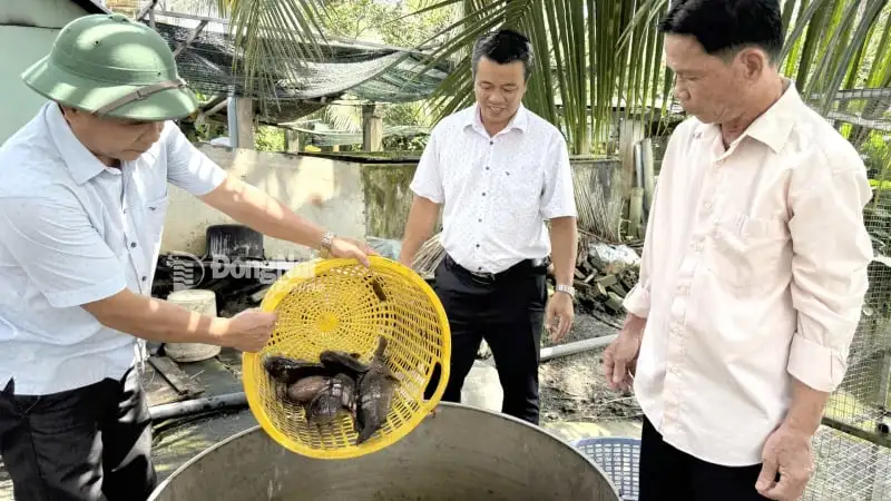 Khu du lịch sinh thái triệu đô giữa vùng nắng cháy Hà Tĩnh đẹp như phim, ông chủ là Nông dân Việt Nam xuất sắc