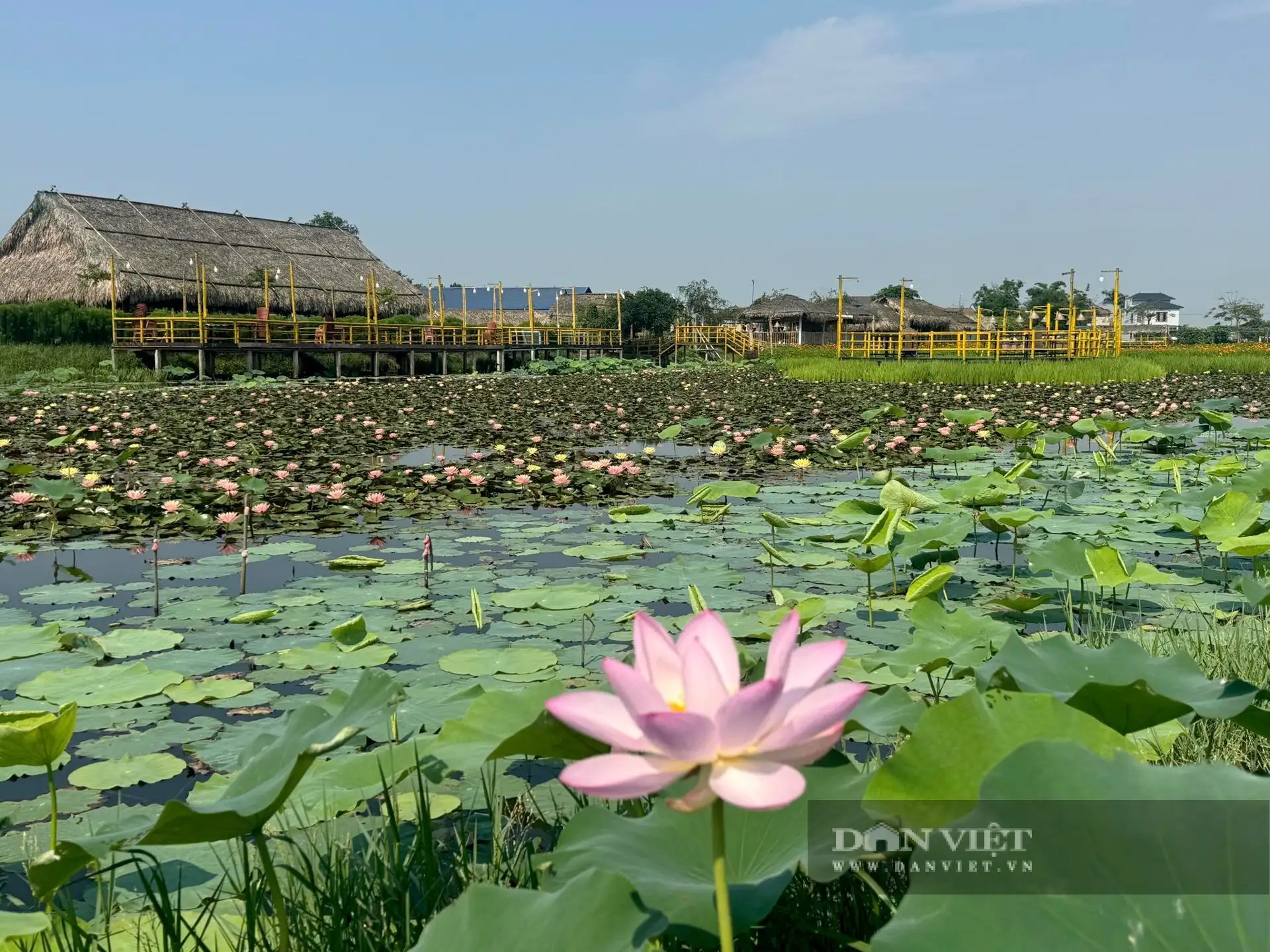 Khu du lịch sinh thái triệu đô giữa vùng nắng cháy Hà Tĩnh đẹp như phim, ông chủ là Nông dân Việt Nam xuất sắc
