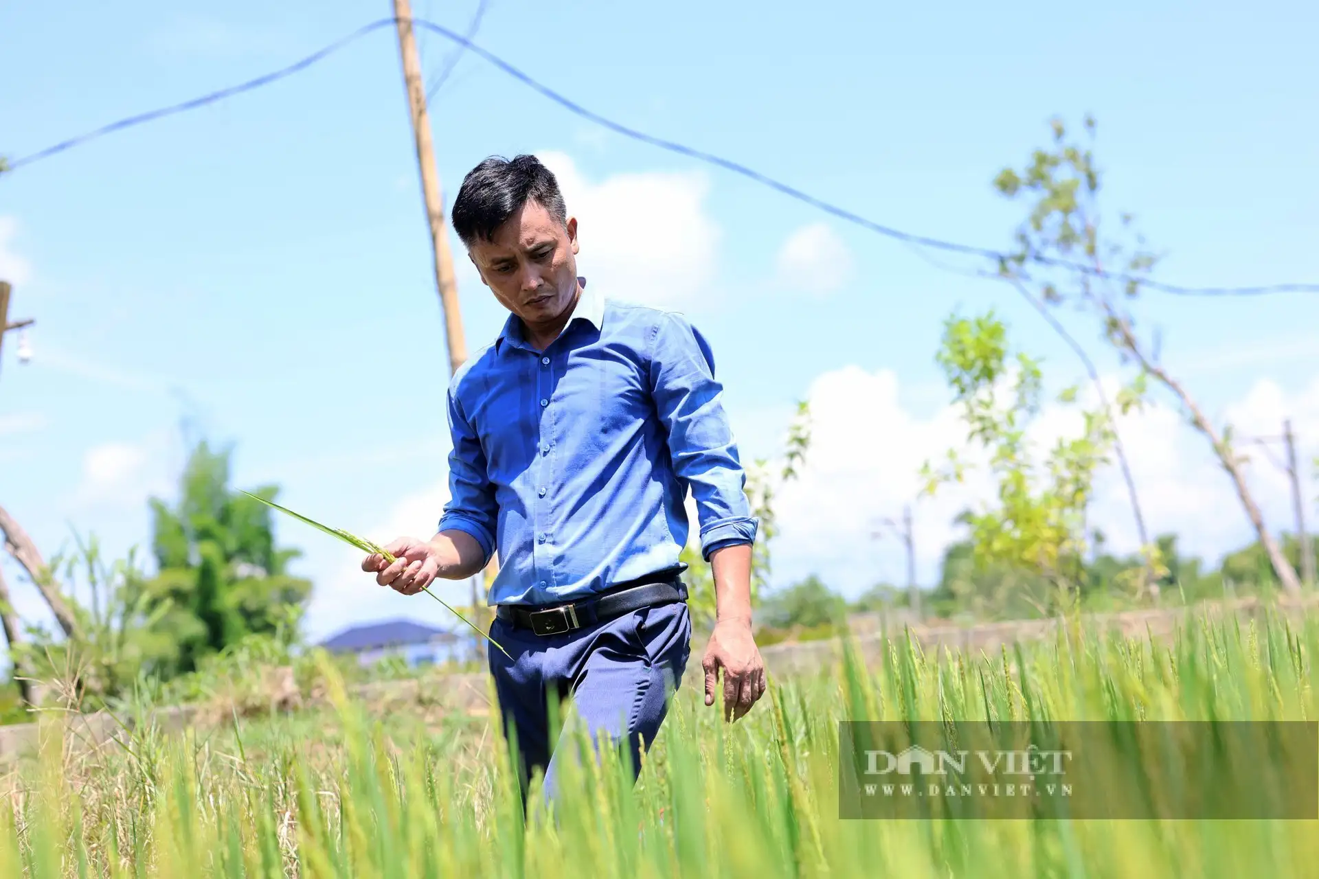 Khu du lịch sinh thái triệu đô giữa vùng nắng cháy Hà Tĩnh đẹp như phim, ông chủ là Nông dân Việt Nam xuất sắc