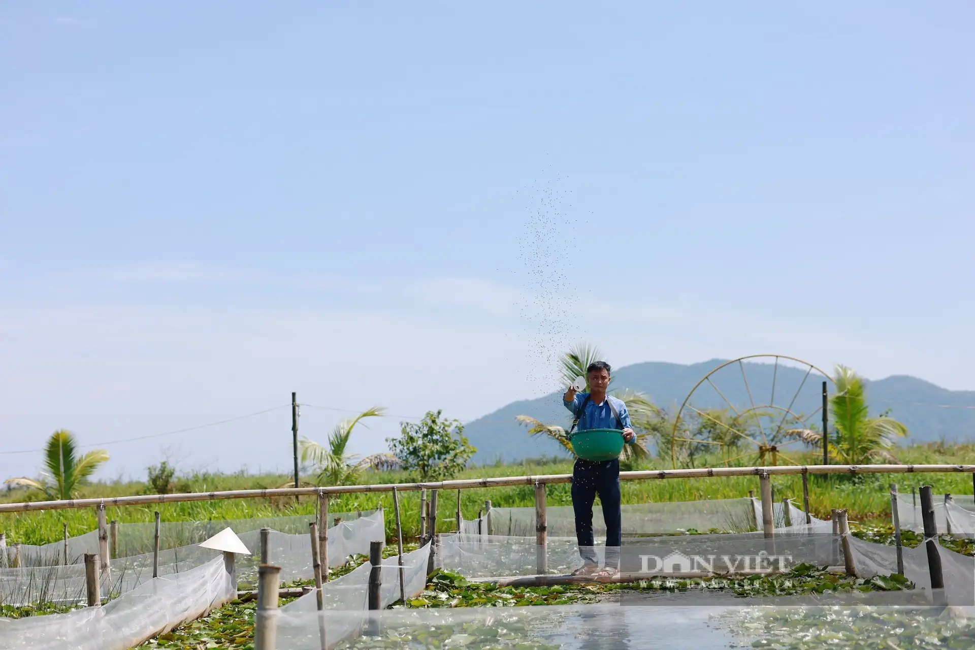 Khu du lịch sinh thái triệu đô giữa vùng nắng cháy Hà Tĩnh đẹp như phim, ông chủ là Nông dân Việt Nam xuất sắc
