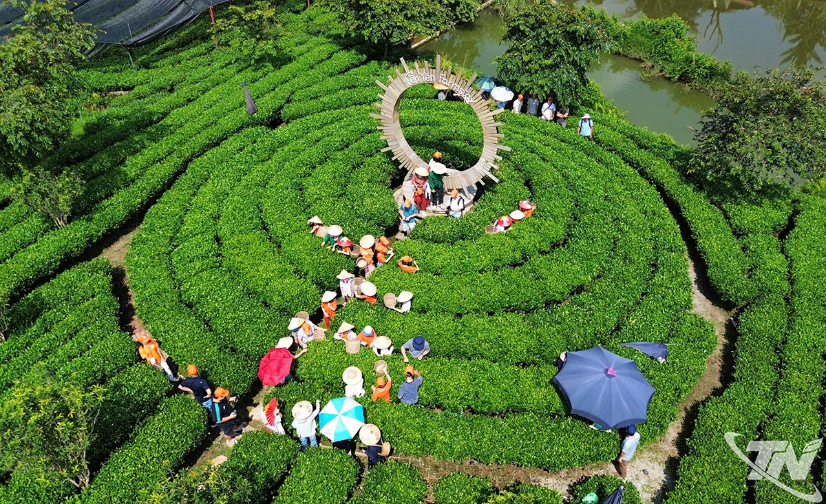 Kiên định mục tiêu giảm nghèo bền vững