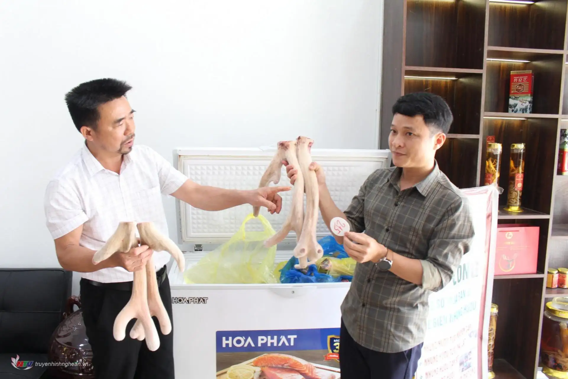 Kinh tế sạch từ thảo dược: Hướng đi bền vững của nông dân Quỳnh Lưu