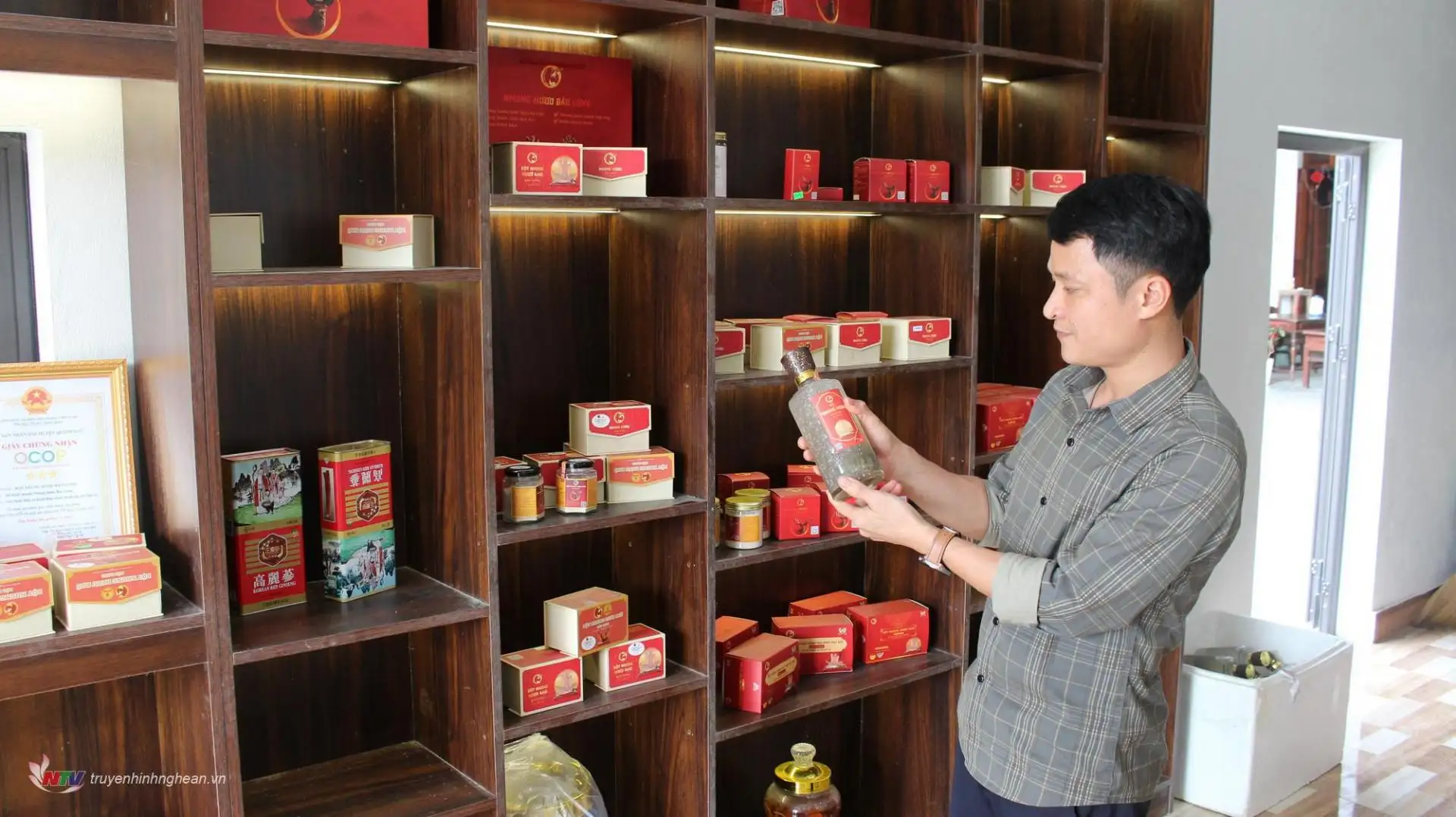 Kinh tế sạch từ thảo dược: Hướng đi bền vững của nông dân Quỳnh Lưu
