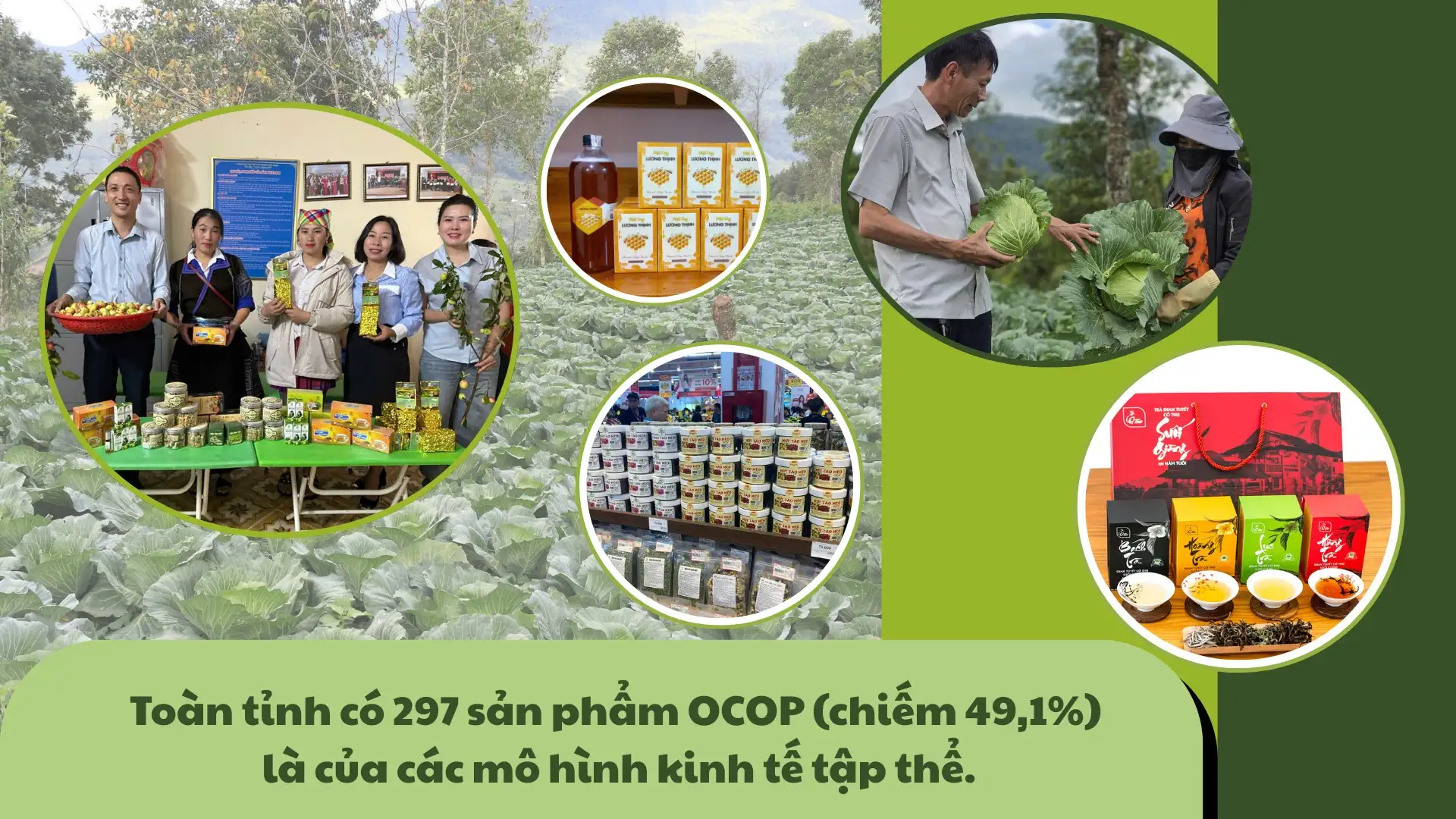 Kinh tế tập thể: Nâng tầm sản phẩm OCOP, thay đổi diện mạo nông thôn