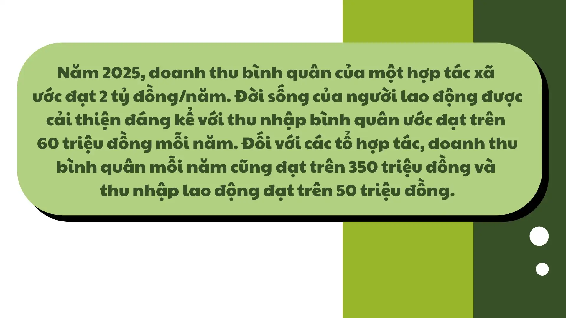 Kinh tế tập thể: Nâng tầm sản phẩm OCOP, thay đổi diện mạo nông thôn