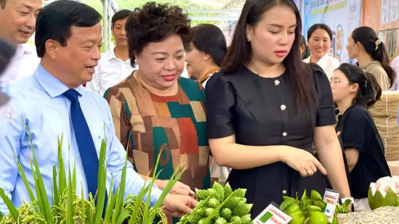 Lạ kỳ, một vườn sầu riêng chín cây, 100 cây sai trĩu quả ở Gia Lai, chín thơm lừng cả khu đồi