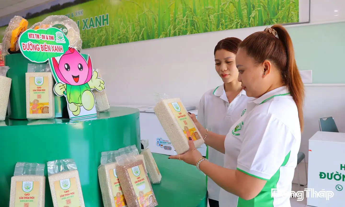 Làm ruộng kiểu lạ ở Đồng Tháp, nuôi cá đồng trồng lúa mùa nổi, vườn cây lạ ra trĩu quả vàng cản chả kịp